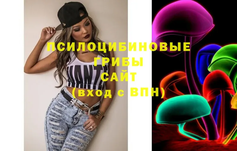 Галлюциногенные грибы Cubensis  mega как войти  Мичуринск 