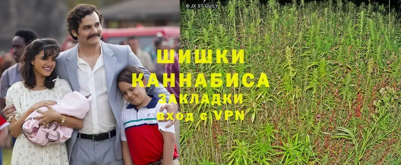 Каннабис White Widow  Мичуринск 